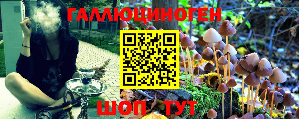 Серпухов  Галлюциногенные грибы ЛСД  Псилоцибиновые грибы ЛСД  Вход с VPN 