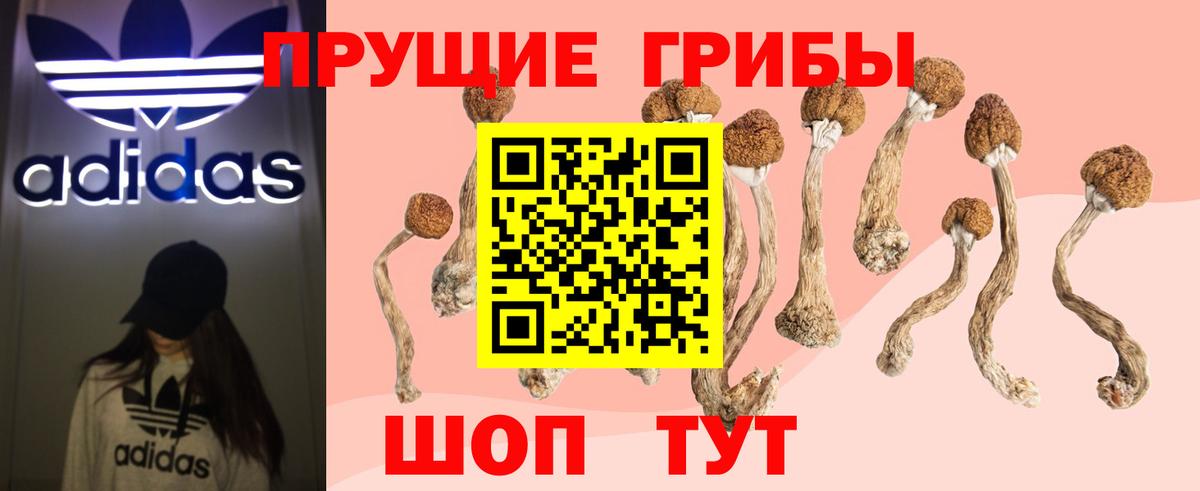 Псилоцибиновые грибы GOLDEN TEACHER Серпухов